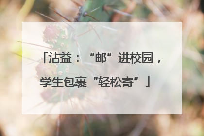 沾益：“邮”进校园，学生包裹“轻松寄”