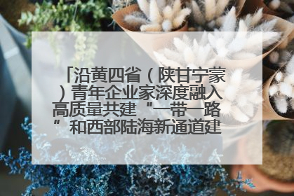 沿黄四省（陕甘宁蒙）青年企业家深度融入高质量共建“一带一路”和西部陆海新通道建设战略合作交流会在甘肃兰州召开