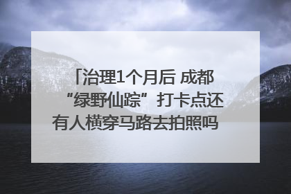 治理1个月后 成都“绿野仙踪”打卡点还有人横穿马路去拍照吗？｜民情瞭望