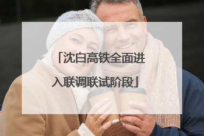 沈白高铁全面进入联调联试阶段