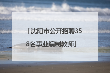 沈阳市公开招聘358名事业编制教师