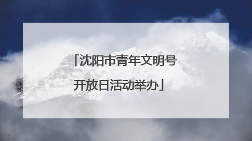沈阳市青年文明号开放日活动举办