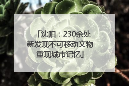 沈阳：230余处新发现不可移动文物重现城市记忆