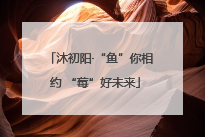 沐初阳·“鱼”你相约 “莓”好未来