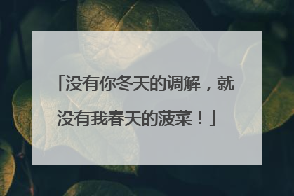 没有你冬天的调解，就没有我春天的菠菜！