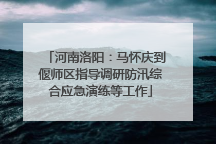 河南洛阳：马怀庆到偃师区指导调研防汛综合应急演练等工作