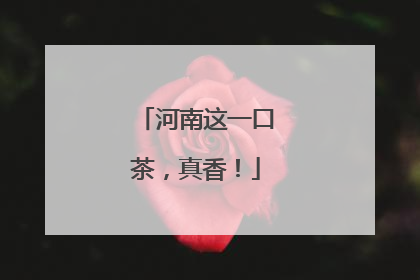 河南这一口茶，真香！
