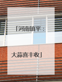 河南镇平：大蒜喜丰收