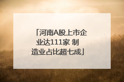 河南A股上市企业达111家 制造业占比超七成