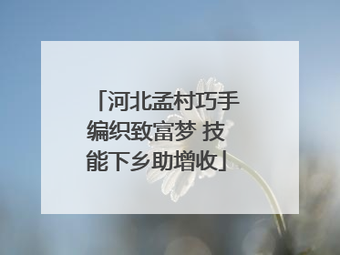 河北孟村巧手编织致富梦 技能下乡助增收