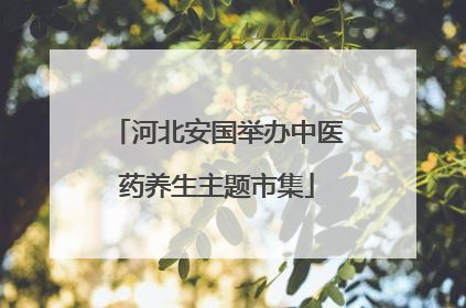 河北安国举办中医药养生主题市集