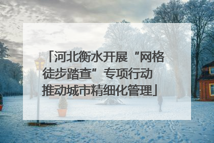 河北衡水开展“网格徒步踏查”专项行动 推动城市精细化管理