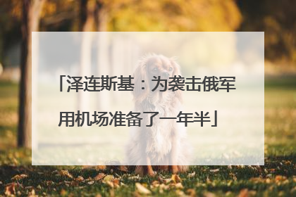 泽连斯基：为袭击俄军用机场准备了一年半