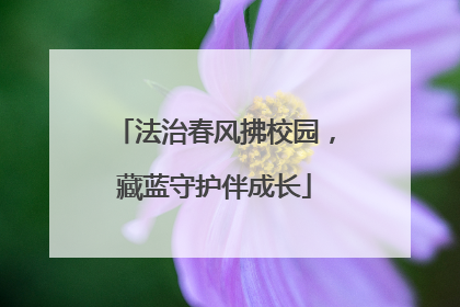 法治春风拂校园，藏蓝守护伴成长