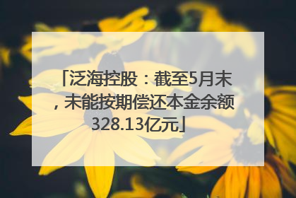 泛海控股：截至5月末，未能按期偿还本金余额328.13亿元