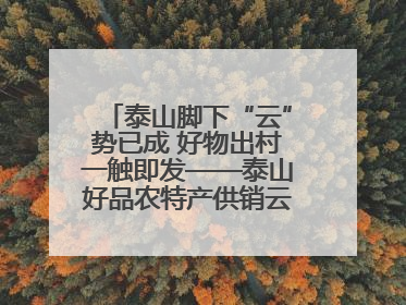 泰山脚下“云”势已成 好物出村一触即发——泰山好品农特产供销云仓即将启用