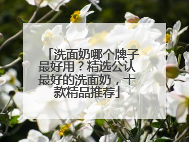 洗面奶哪个牌子最好用？精选公认最好的洗面奶，十款精品推荐