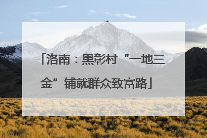 洛南：黑彰村“一地三金”铺就群众致富路