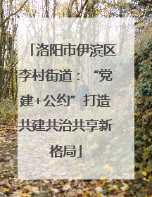 洛阳市伊滨区李村街道：“党建+公约”打造共建共治共享新格局