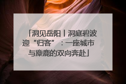 洞见岳阳丨洞庭碧波迎“归客”：一座城市与麋鹿的双向奔赴