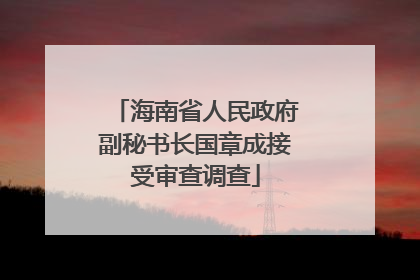海南省人民政府副秘书长国章成接受审查调查