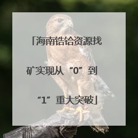海南锆铪资源找矿实现从“0”到“1”重大突破