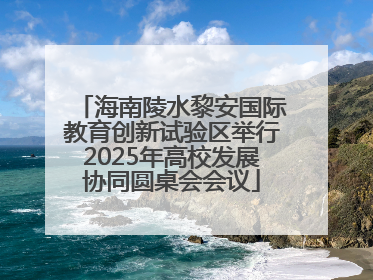 海南陵水黎安国际教育创新试验区举行2025年高校发展协同圆桌会会议