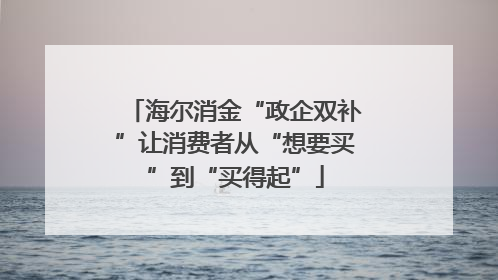 海尔消金“政企双补”让消费者从“想要买”到“买得起”