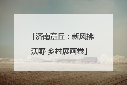 济南章丘：新风拂沃野 乡村展画卷