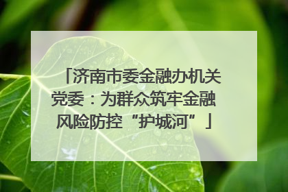济南市委金融办机关党委：为群众筑牢金融风险防控“护城河”