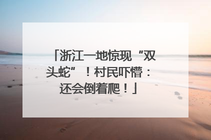 浙江一地惊现“双头蛇”！村民吓懵：还会倒着爬！