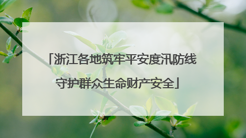 浙江各地筑牢平安度汛防线 守护群众生命财产安全