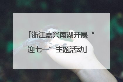 浙江嘉兴南湖开展“迎七一”主题活动