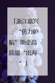 浙江嘉兴：“侨力护航”助企高质量“出海”