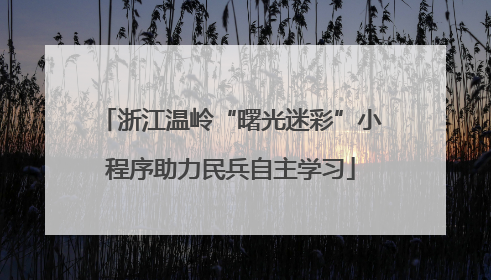 浙江温岭“曙光迷彩”小程序助力民兵自主学习