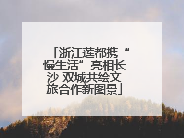 浙江莲都携“慢生活”亮相长沙 双城共绘文旅合作新图景
