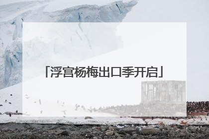 浮宫杨梅出口季开启