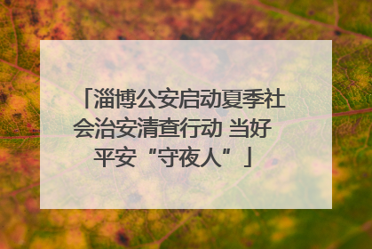 淄博公安启动夏季社会治安清查行动 当好平安“守夜人”