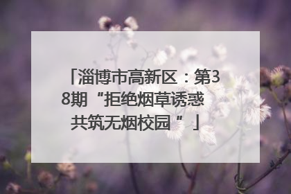 淄博市高新区：第38期“拒绝烟草诱惑 共筑无烟校园 ”
