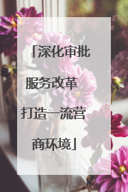 深化审批服务改革 打造一流营商环境