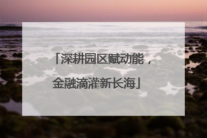 深耕园区赋动能，金融滴灌新长海
