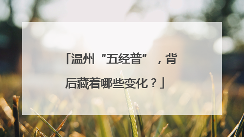 温州“五经普”，背后藏着哪些变化？