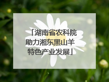 湖南省农科院助力湘东黑山羊特色产业发展