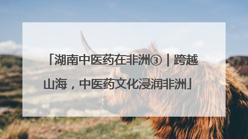 湖南中医药在非洲③｜跨越山海，中医药文化浸润非洲