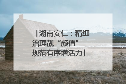 湖南安仁：精细治理靓“颜值” 规范有序增活力