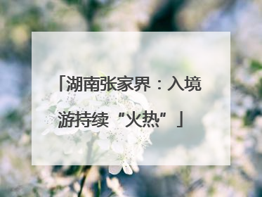 湖南张家界：入境游持续“火热”