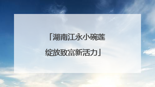 湖南江永小碗莲绽放致富新活力