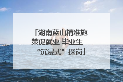 湖南蓝山精准施策促就业 毕业生“沉浸式”探岗