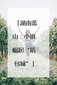 湖南蓝山：小镇崛起“箱包城”