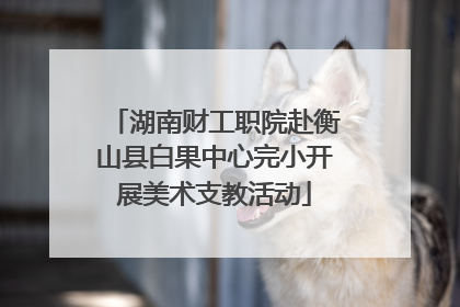 湖南财工职院赴衡山县白果中心完小开展美术支教活动